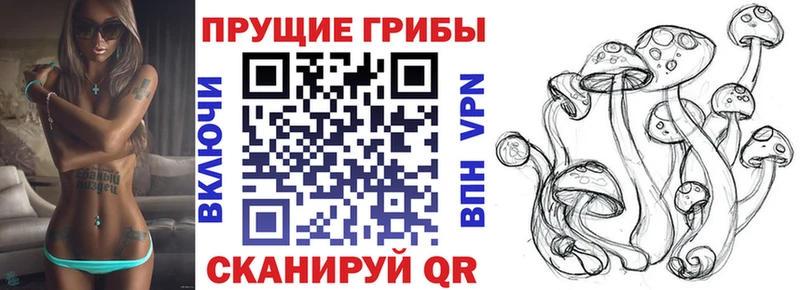 закладки  Саров  Псилоцибиновые грибы ЛСД 